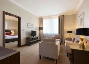 Room Room