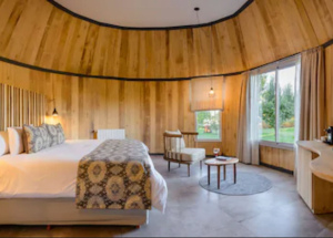 Room Room
