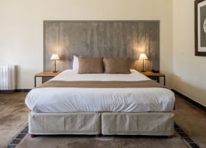 Room Room