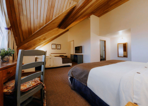 Room Room