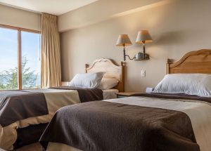 Room Room