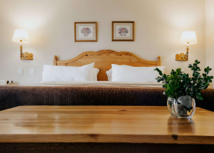 Room Room