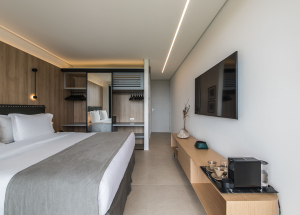 Room Room