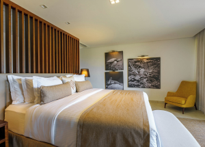 Room Room