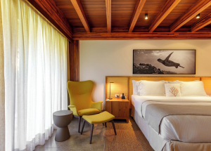 Room Room