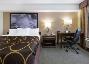 Room Room
