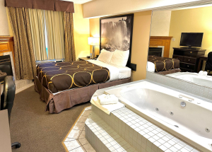 Room Room