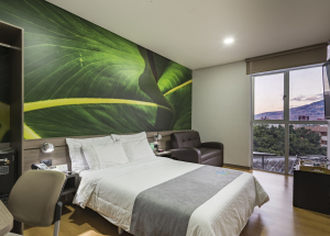 Primary Image Primary Image