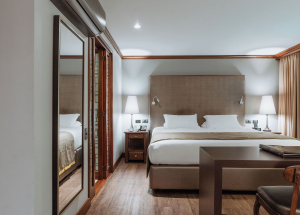 Room Room