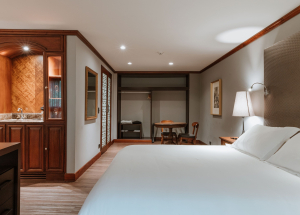 Room Room