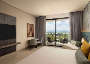 Room Room