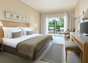 Room Room
