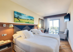 Room Room