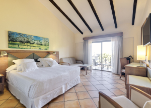Room Room