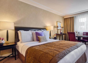 Room Room