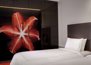 Room Room