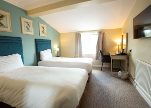 Room Room