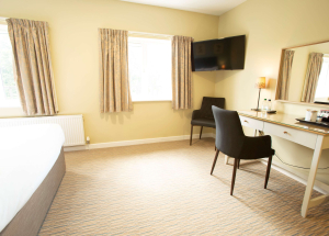 Room Room