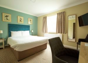 Room Room