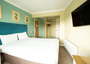 Room Room