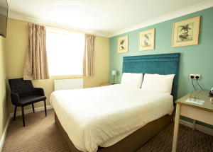 Room Room