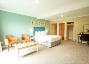 Room Room