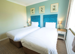 Room Room