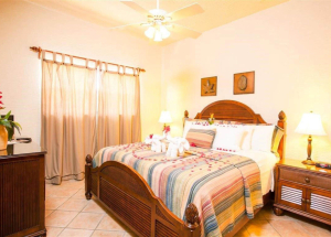 Room Room