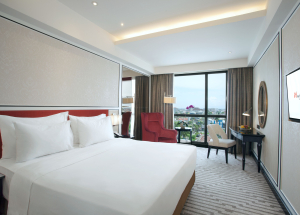 Room Room