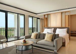 Room Room