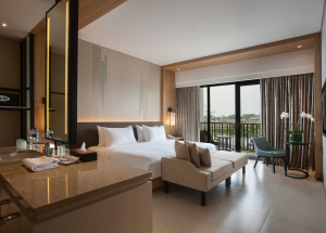 Room Room