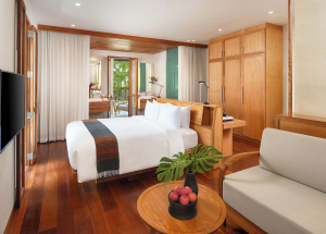 Room Room