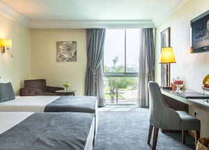Room Room
