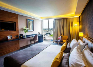 Room Room