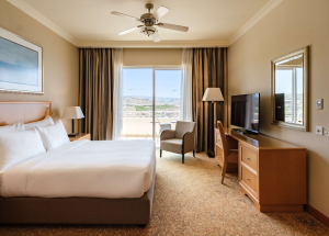 Room Room