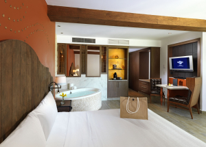 Room Room