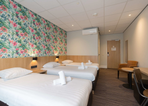 Room Room