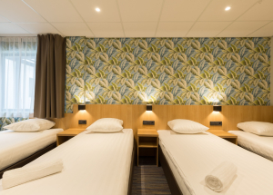 Room Room