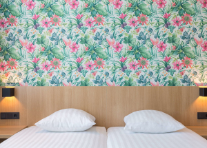 Room Room