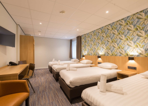 Room Room