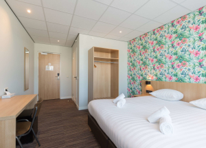 Room Room