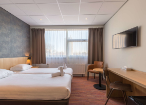 Room Room