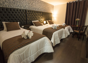 Room Room
