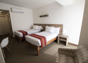 Room Room