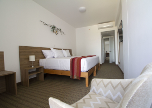 Room Room