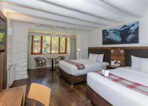 Room Room