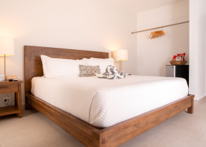 Room Room