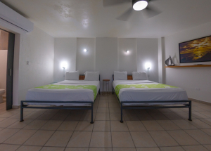 Room Room