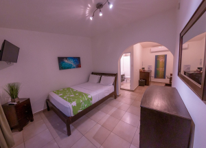 Room Room