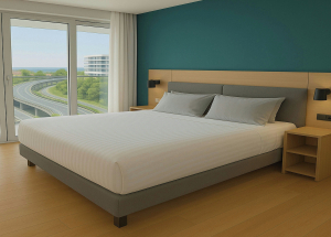 Room Room